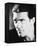 Antonio Banderas - Desperado-null-Framed Stretched Canvas