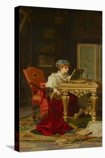 Stretched Canvas Print, , large