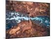 Premium Photographic Print