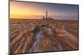 Premium Photographic Print