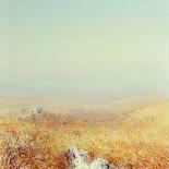 Mucca in Maremma-Antonio Ciccone-Giclee Print