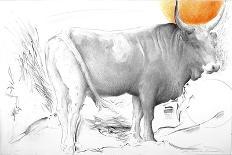 Mucca in Maremma-Antonio Ciccone-Giclee Print