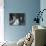 Antonio De Olivera Salazar Sitting at His Desk-Bernard Hoffman-Photographic Print displayed on a wall