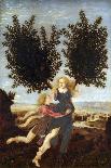 Apollo and Daphne-Antonio Del Pollaiuolo-Giclee Print