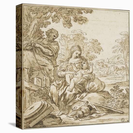 Stretched Canvas Print, , large