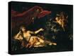 Stretched Canvas Print
