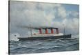 Stretched Canvas Print