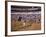 Antonio Ordonez and Luis Miguel Dominguin Greet Crowd Before a Mano Bullfight at Malaga Bullring-James Burke-Framed Premium Photographic Print