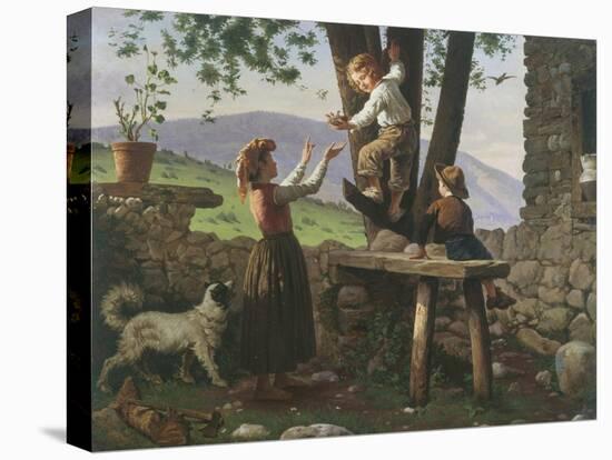 Stretched Canvas Print, , large