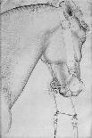 Head of a Horse-Antonio Pisani Pisanello-Giclee Print