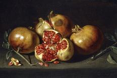 Pomegranates-Antonio Ponce-Premier Image Canvas