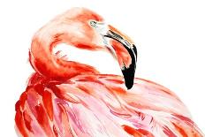 Pink Flamingo Bird Profile Portrait, Amazing Beautiful Animal, Art Print, Watercolor Wildlife Drawi-Antonova Katya-Framed Art Print