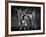 Antony Blum and Kay Mazzo in New York City Ballet Production of Dances at a Gathering-Gjon Mili-Framed Premium Photographic Print