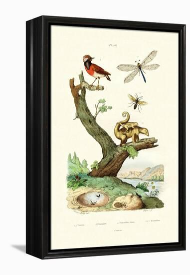 Ants, 1833-39-null-Framed Premier Image Canvas