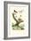 Ants, 1833-39-null-Framed Giclee Print