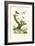 Ants, 1833-39-null-Framed Giclee Print