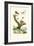 Ants, 1833-39-null-Framed Giclee Print