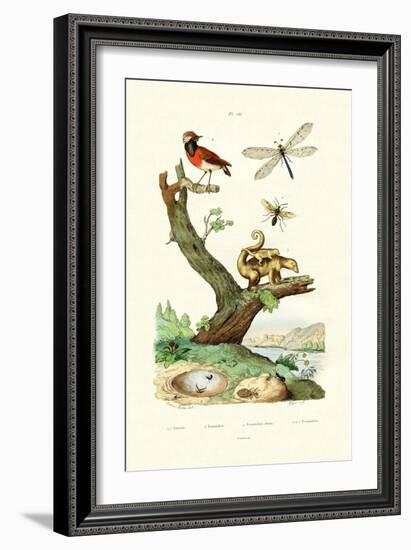 Ants, 1833-39-null-Framed Giclee Print