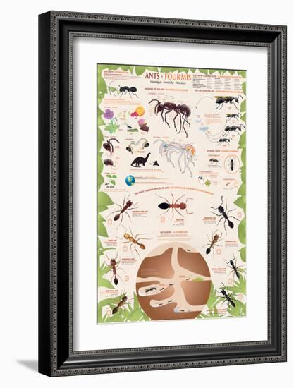 Ants-null-Framed Premium Giclee Print