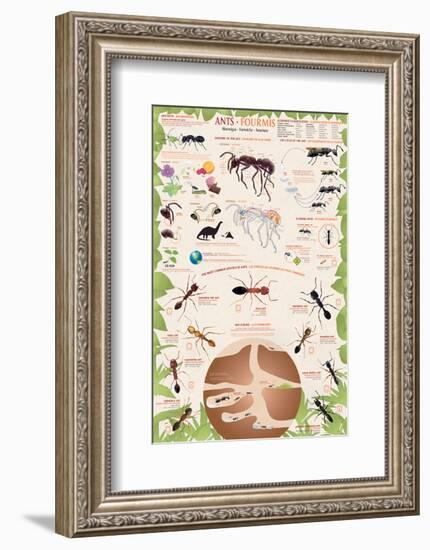 Ants-null-Framed Art Print