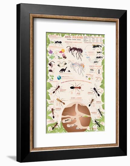 Ants-null-Framed Art Print