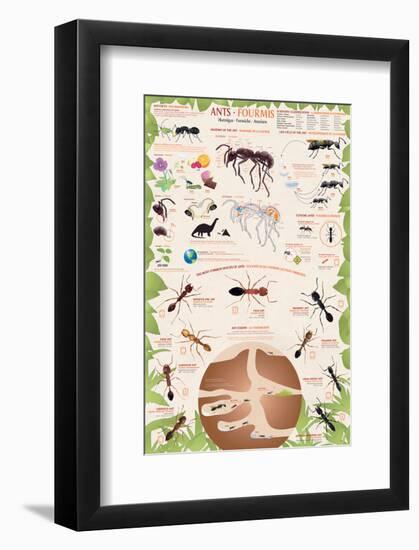 Ants-null-Framed Art Print