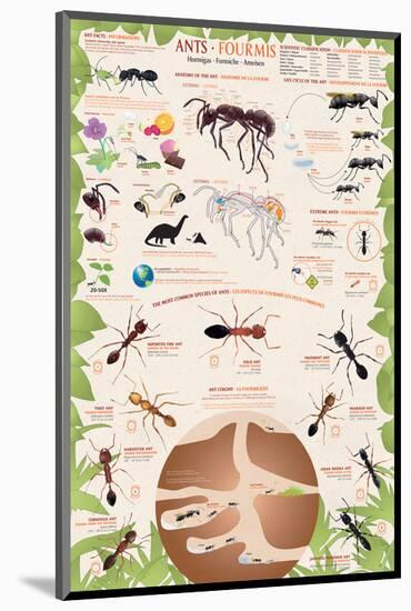 Ants-null-Mounted Art Print