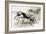 Ants-R. B. Davis-Framed Giclee Print