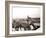 Antwerp Skyline, 1898-James Batkin-Framed Photographic Print