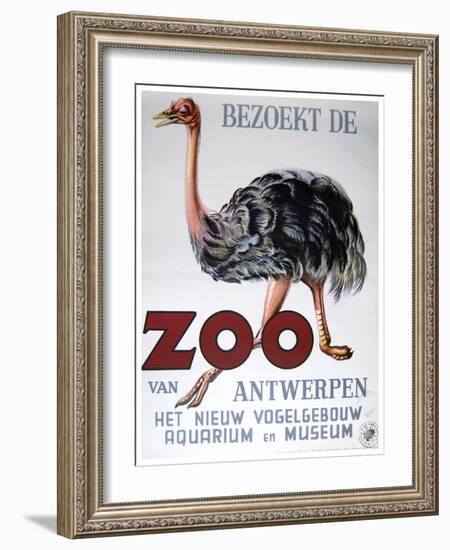 Antwerp Zoo-Vintage Apple Collection-Framed Giclee Print