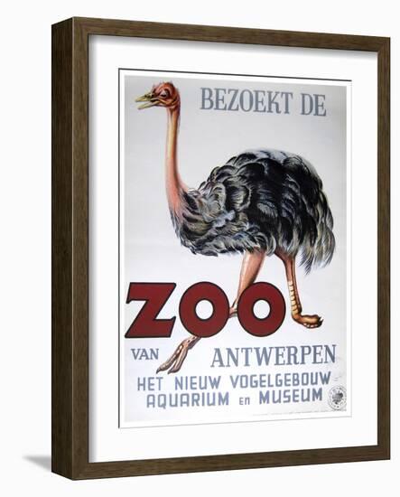 Antwerp Zoo-Vintage Apple Collection-Framed Giclee Print