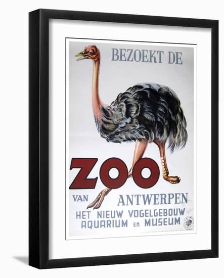 Antwerp Zoo-Vintage Apple Collection-Framed Giclee Print