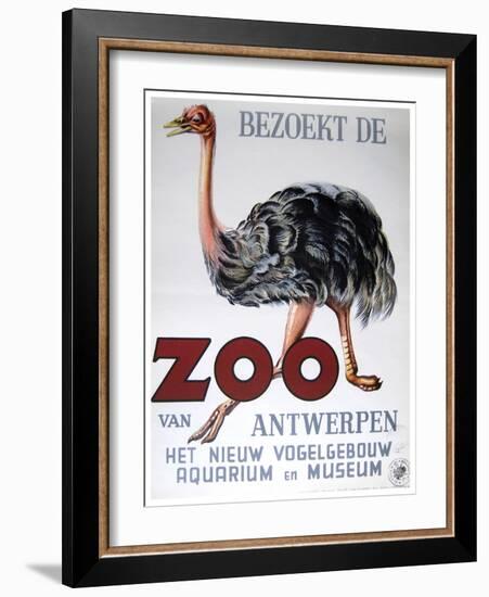 Antwerp Zoo-Vintage Apple Collection-Framed Giclee Print