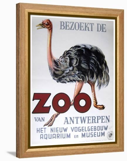 Antwerp Zoo-Vintage Apple Collection-Framed Premier Image Canvas