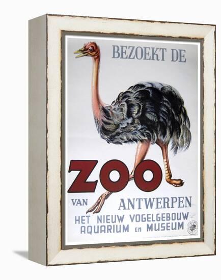 Antwerp Zoo-Vintage Apple Collection-Framed Premier Image Canvas