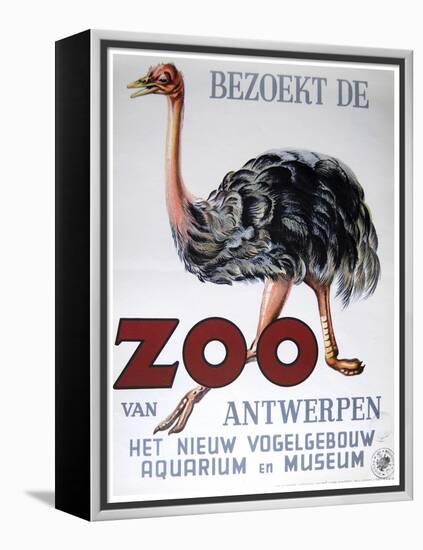 Antwerp Zoo-Vintage Apple Collection-Framed Premier Image Canvas