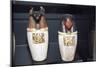 Anubis Canopic Jars, 22nd Dynasty, c1550BC-1069 BC-Unknown-Mounted Giclee Print