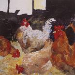 Roosting Hens-Anuk Naumann-Giclee Print