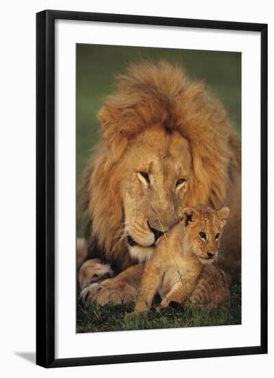 Photographic Print, , large