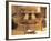 Anuradhapura, Sri Lanka-Peter Adams-Framed Photographic Print