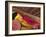 Anuradhapura, UNESCO World Heritage Site, Reclining Buddha Statue, Sri Lanka-Ellen Clark-Framed Photographic Print