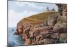 Anvil Point, Swanage-Alfred Robert Quinton-Mounted Giclee Print