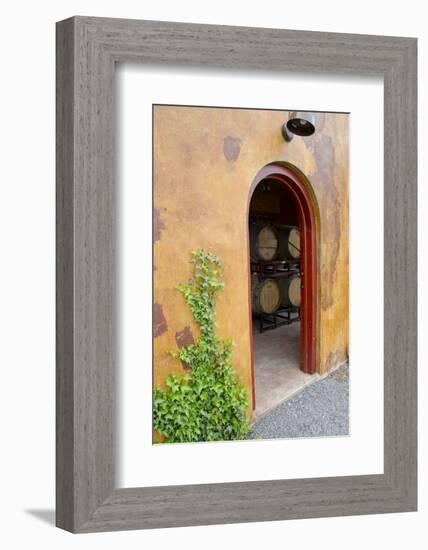 Anyela's Vineyard Winery, Wine Cellar, Skaneateles, New York, USA-Cindy Miller Hopkins-Framed Photographic Print