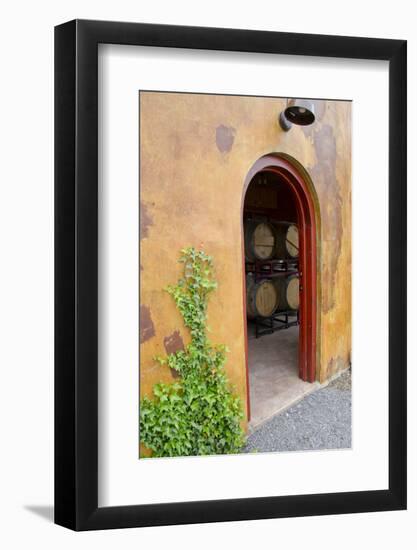 Anyela's Vineyard Winery, Wine Cellar, Skaneateles, New York, USA-Cindy Miller Hopkins-Framed Photographic Print