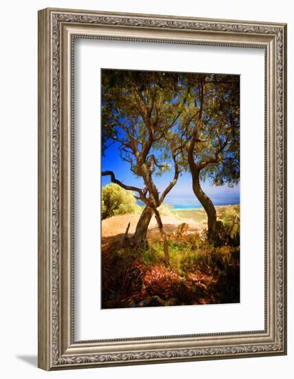 Anyway-Philippe Sainte-Laudy-Framed Photographic Print