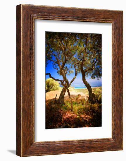 Anyway-Philippe Sainte-Laudy-Framed Photographic Print