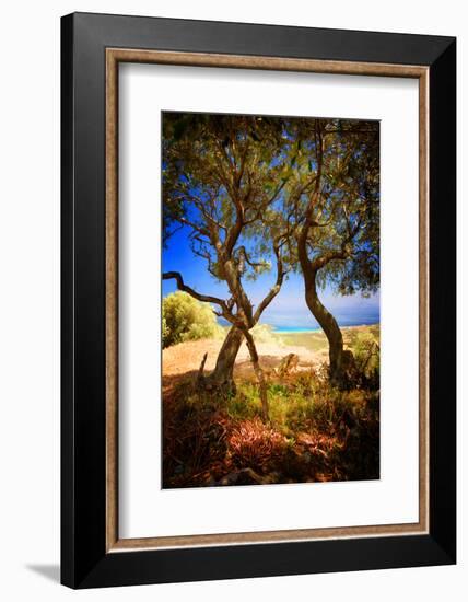 Anyway-Philippe Sainte-Laudy-Framed Photographic Print