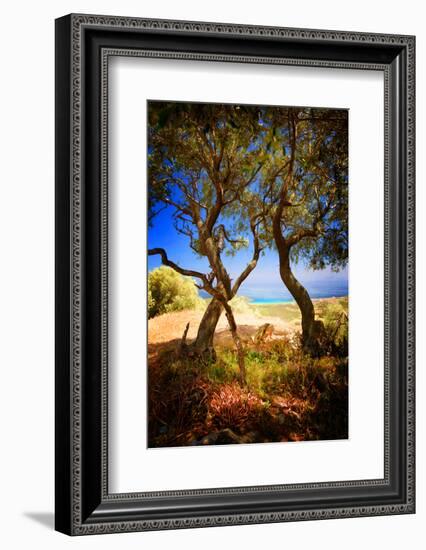 Anyway-Philippe Sainte-Laudy-Framed Photographic Print