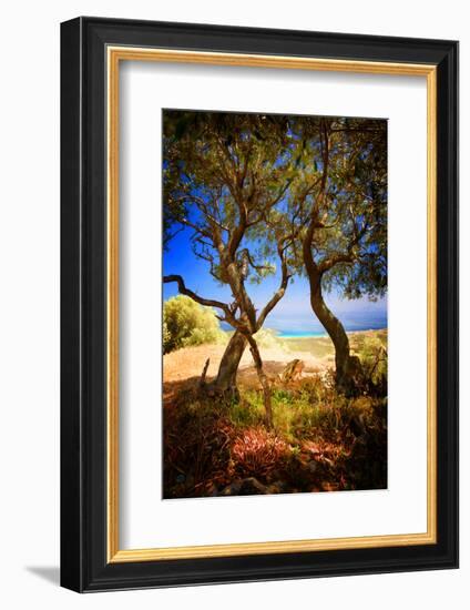 Anyway-Philippe Sainte-Laudy-Framed Photographic Print