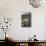 Anza Flower Meadow II-Donald Paulson-Mounted Giclee Print displayed on a wall